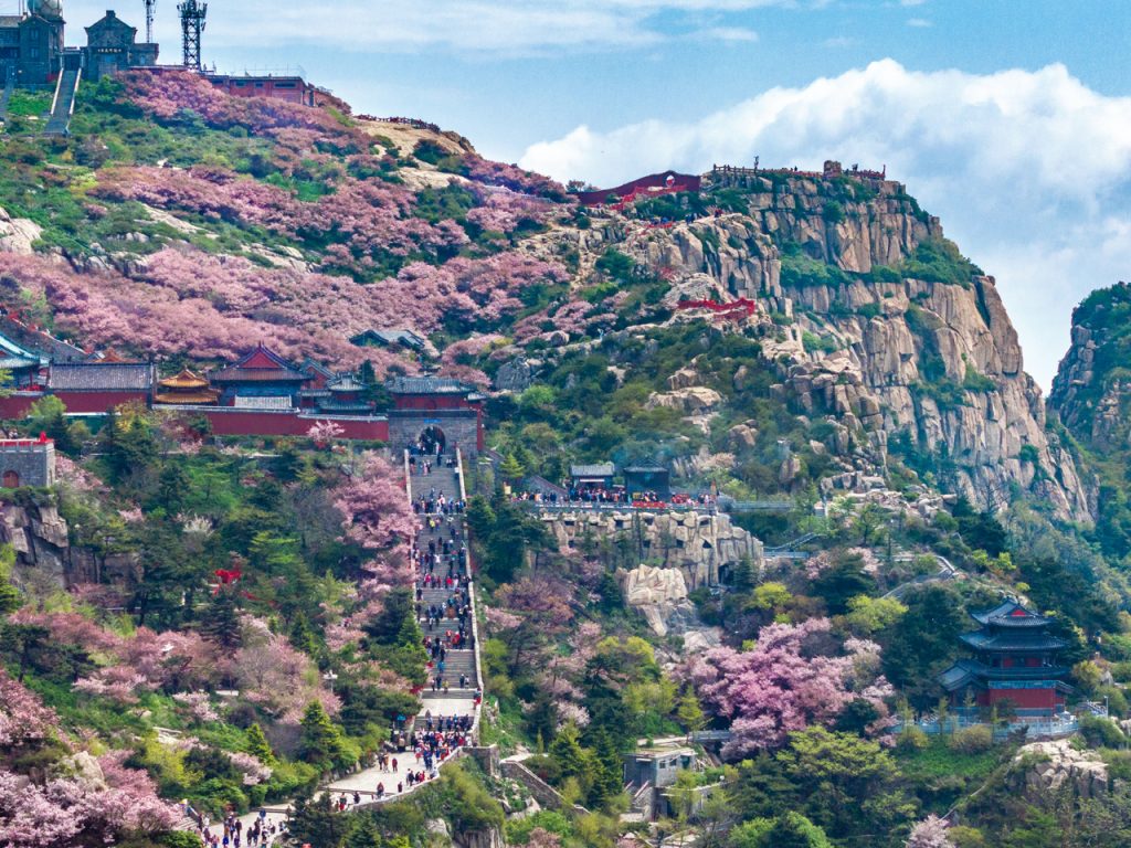 图层 1